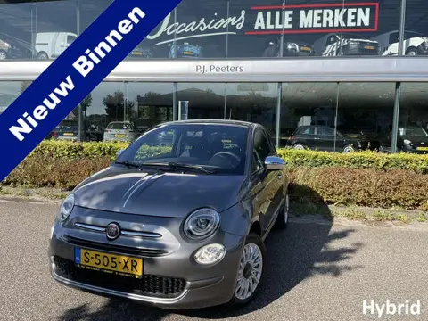 Used FIAT 500 Hybrid 2023 Ad 