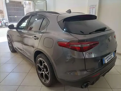 Used ALFA ROMEO STELVIO Diesel 2019 Ad 