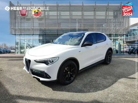 Used ALFA ROMEO STELVIO Diesel 2021 Ad 