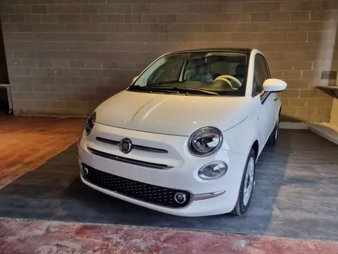 Used FIAT 500 Hybrid 2023 Ad 