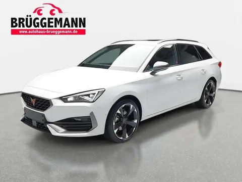 Used CUPRA LEON Petrol 2024 Ad 