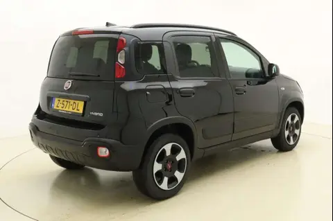 Used FIAT PANDA Hybrid 2024 Ad 