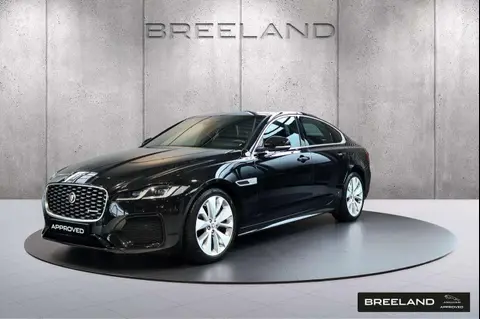 Used JAGUAR XF Petrol 2023 Ad 