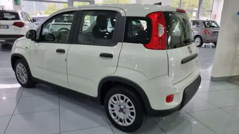 Used FIAT PANDA Hybrid 2024 Ad 