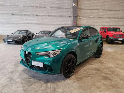 Used ALFA ROMEO STELVIO Petrol 2022 Ad 