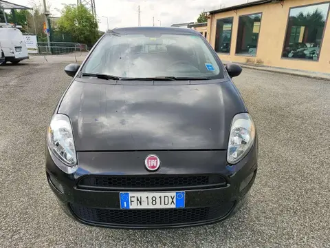 Annonce FIAT PUNTO Essence 2018 d'occasion 