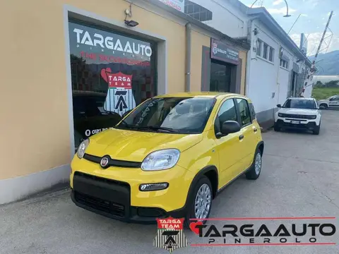 Used FIAT PANDA Petrol 2024 Ad 