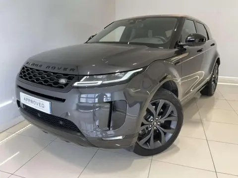 Annonce LAND ROVER RANGE ROVER EVOQUE  2022 d'occasion 