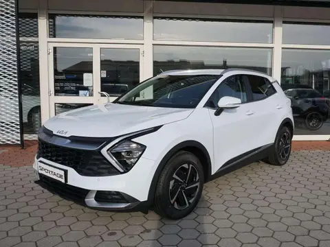 Annonce KIA SPORTAGE Essence 2024 d'occasion 