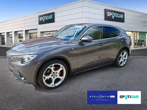 Used ALFA ROMEO STELVIO Diesel 2021 Ad 