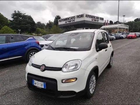 Annonce FIAT PANDA  2024 d'occasion 