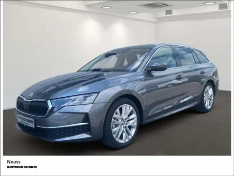 Annonce SKODA OCTAVIA Diesel 2024 d'occasion 