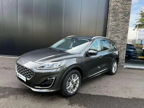 Annonce FORD KUGA Hybride 2021 d'occasion 