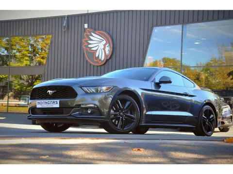 Annonce FORD MUSTANG Essence 2016 d'occasion 