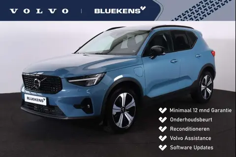 Used VOLVO XC40 Hybrid 2023 Ad 