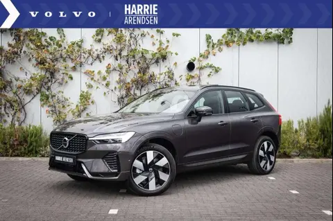 Used VOLVO XC60 Hybrid 2024 Ad 