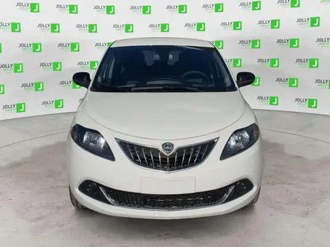 Used LANCIA YPSILON Hybrid 2024 Ad 