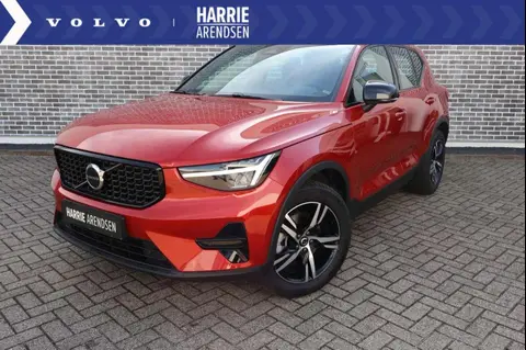 Used VOLVO XC40 Hybrid 2024 Ad 