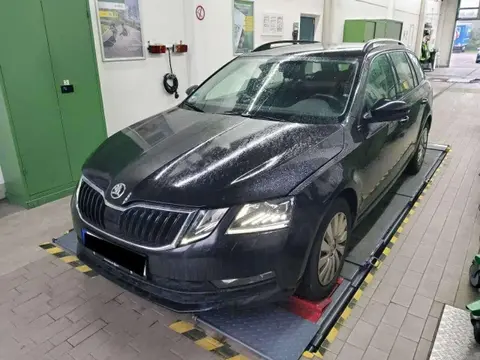 Used SKODA OCTAVIA Diesel 2019 Ad 