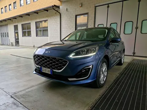 Annonce FORD KUGA Hybride 2021 d'occasion 