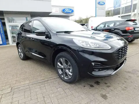 Used FORD KUGA Hybrid 2024 Ad 