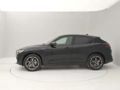 Used ALFA ROMEO STELVIO Petrol 2022 Ad 