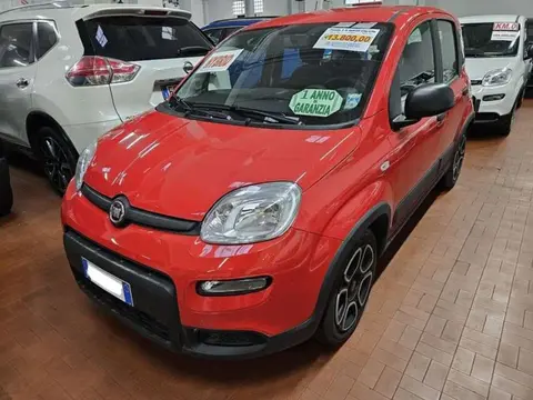 Used FIAT PANDA Hybrid 2022 Ad 