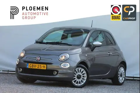 Used FIAT 500 Petrol 2023 Ad 