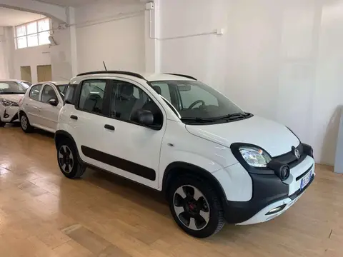 Used FIAT PANDA Hybrid 2020 Ad 