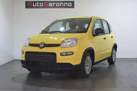 Annonce FIAT PANDA Hybride 2024 d'occasion 