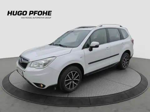 Used SUBARU FORESTER Diesel 2015 Ad 