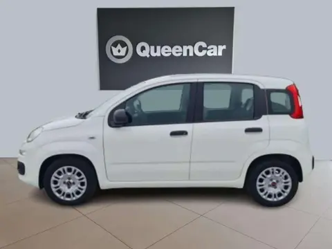 Used FIAT PANDA Hybrid 2021 Ad 