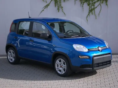 Annonce FIAT PANDA Hybride 2024 d'occasion 