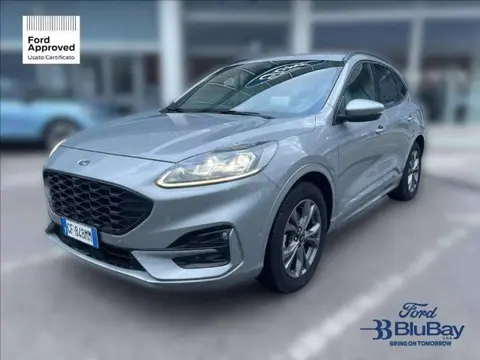 Used FORD KUGA Petrol 2021 Ad 