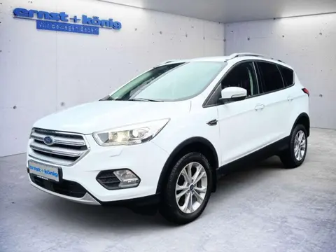 Annonce FORD KUGA Diesel 2019 d'occasion 