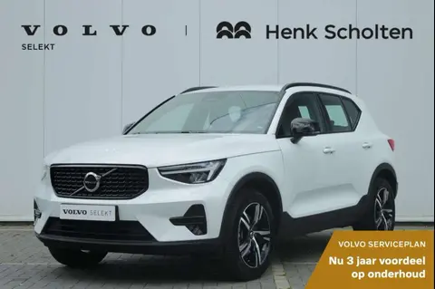 Used VOLVO XC40 Hybrid 2024 Ad 