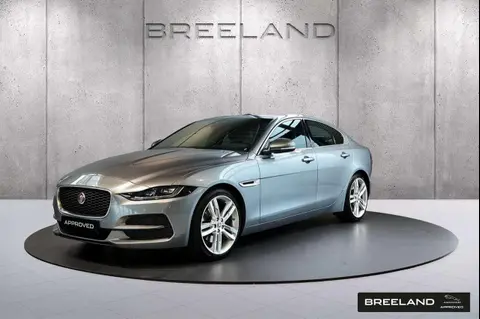 Used JAGUAR XE Petrol 2020 Ad 