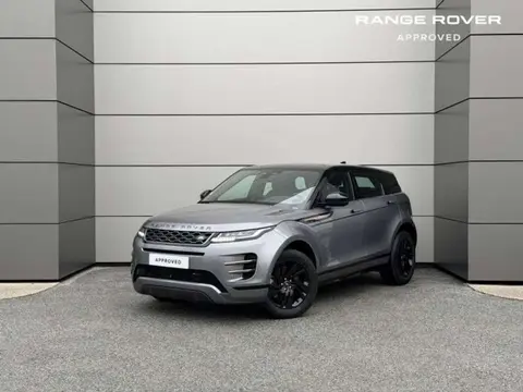 Used LAND ROVER RANGE ROVER EVOQUE  2021 Ad 