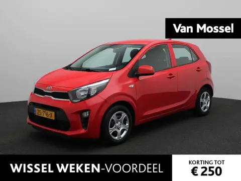 Used KIA PICANTO Petrol 2019 Ad 