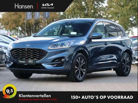 Annonce FORD KUGA Hybride 2021 d'occasion 