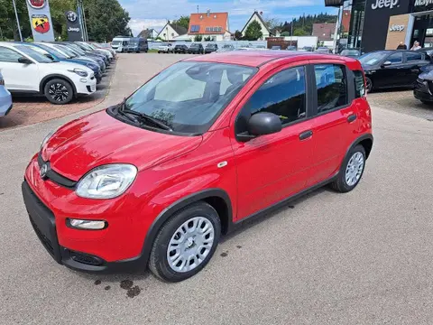 Annonce FIAT PANDA Hybride 2024 d'occasion 