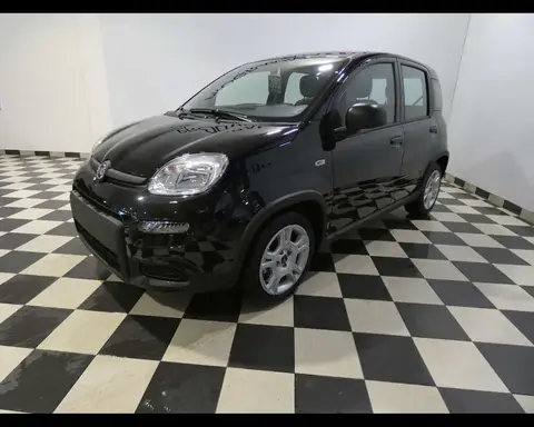 Annonce FIAT PANDA Hybride 2024 d'occasion 