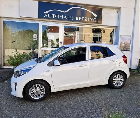 Used KIA PICANTO Petrol 2021 Ad 