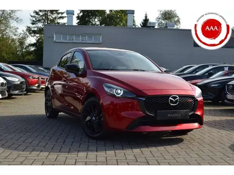 Annonce MAZDA 2 Essence 2024 d'occasion 