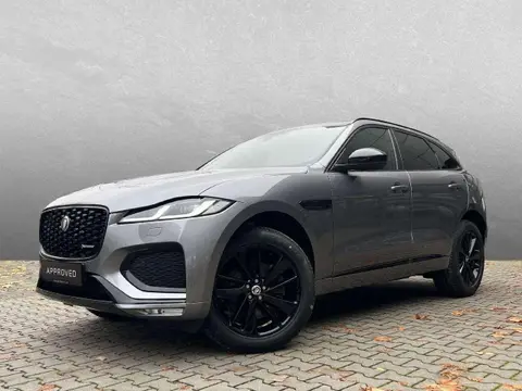 Annonce JAGUAR F-PACE Diesel 2024 d'occasion 