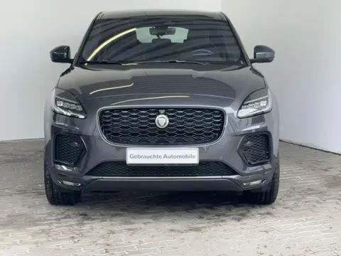 Used JAGUAR E-PACE Hybrid 2021 Ad 