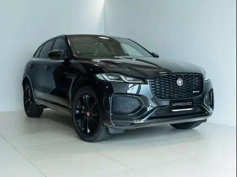 Used JAGUAR F-PACE Hybrid 2023 Ad 