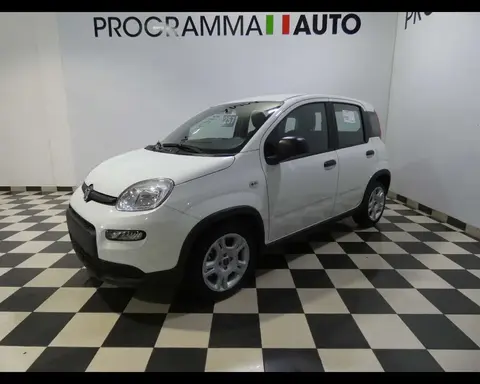 Annonce FIAT PANDA Hybride 2024 d'occasion 