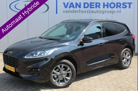 Annonce FORD KUGA Hybride 2023 d'occasion 