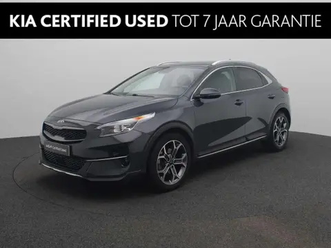 Used KIA XCEED Hybrid 2021 Ad 